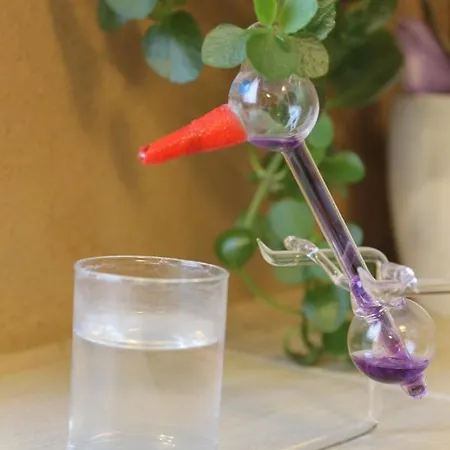 Feriengut Zum Trinkstorch Apartment