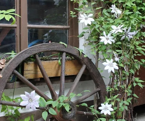 Апартаменты Feriengut Zum Trinkstorch